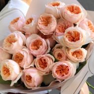 Троянда англійська Джульєтта (кущова)